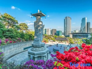 Гостиница Travelodge Dongdaemun Seoul