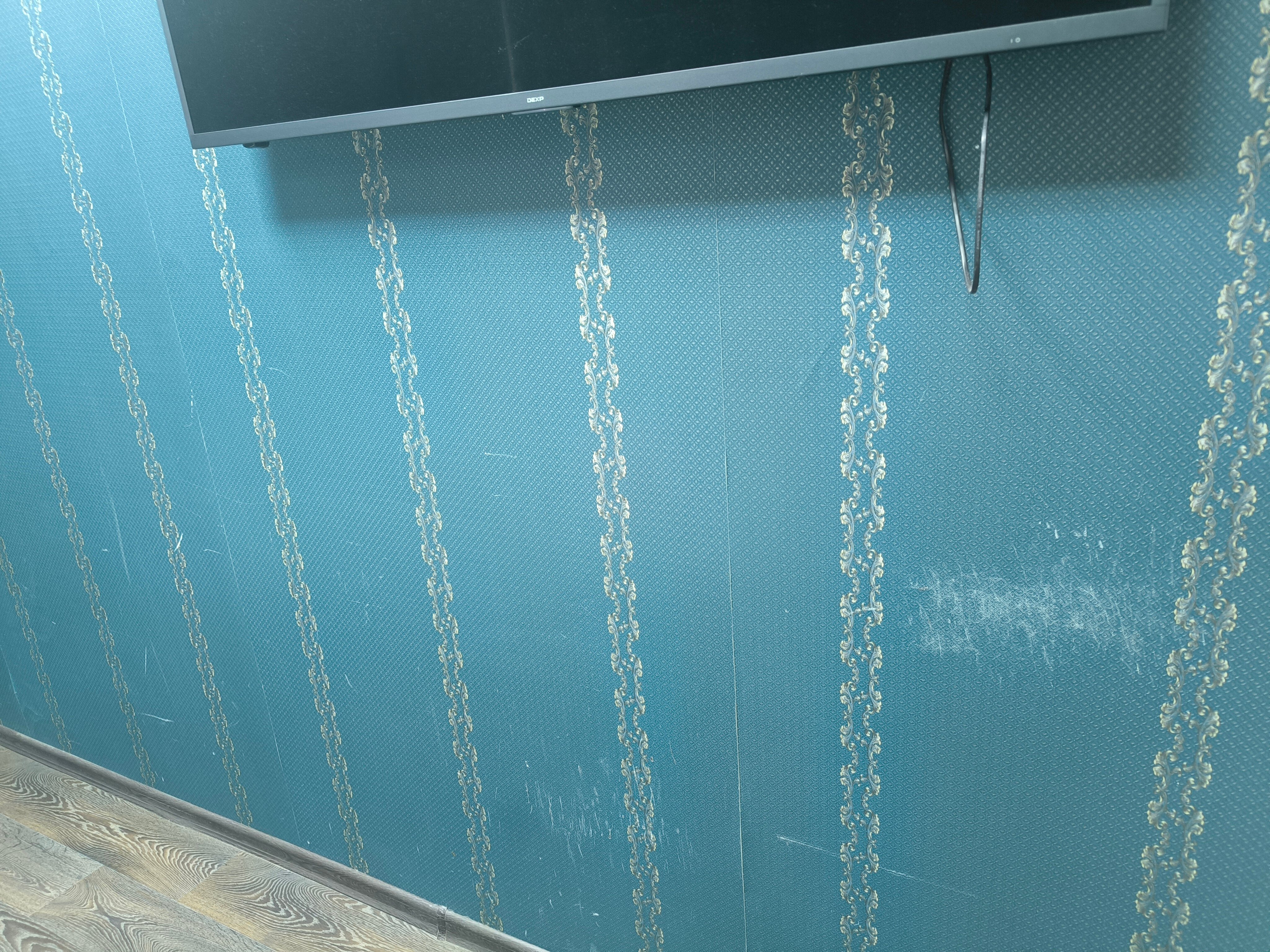 Фото Финист