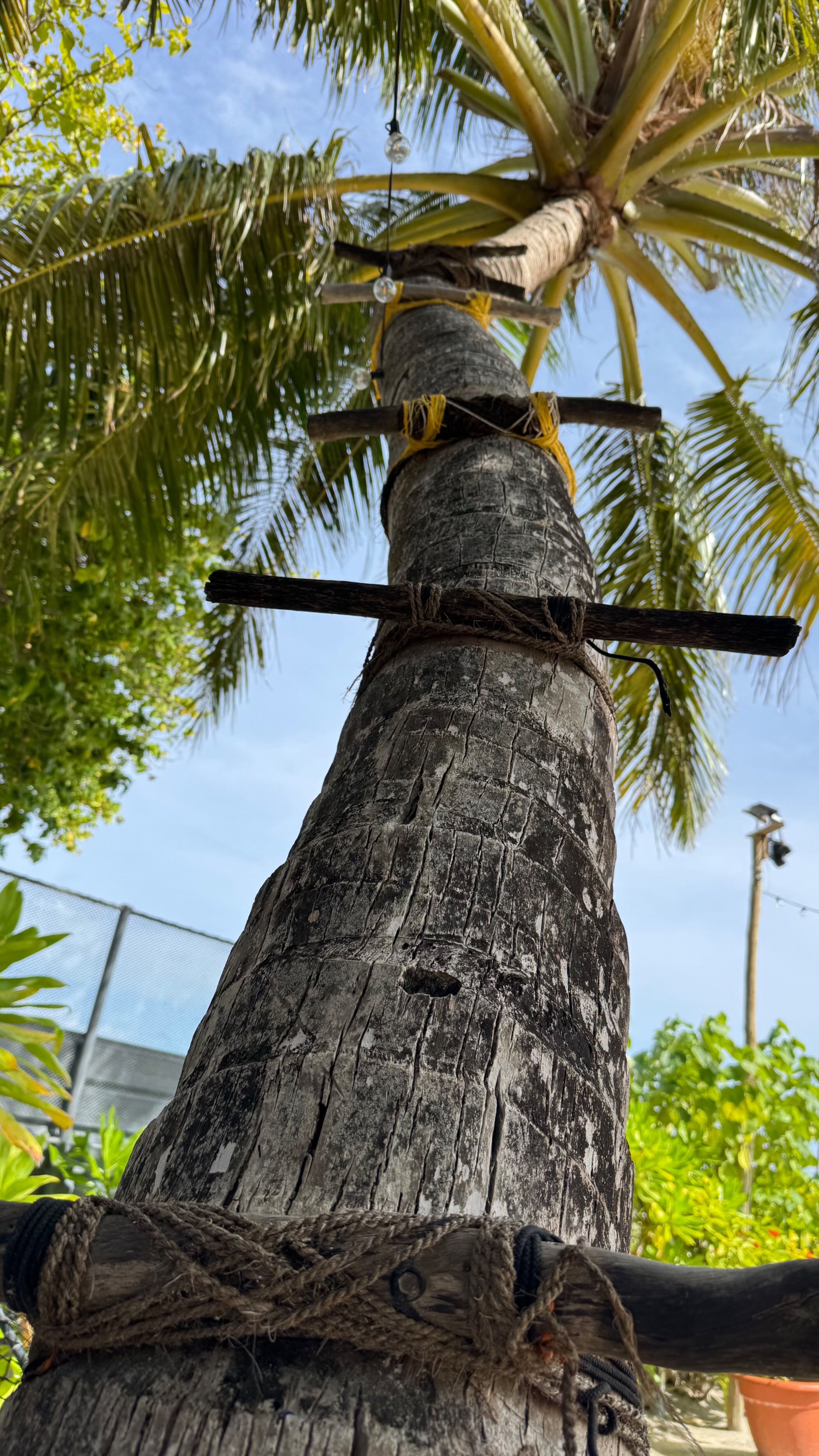 Фото Ithaa Seaview