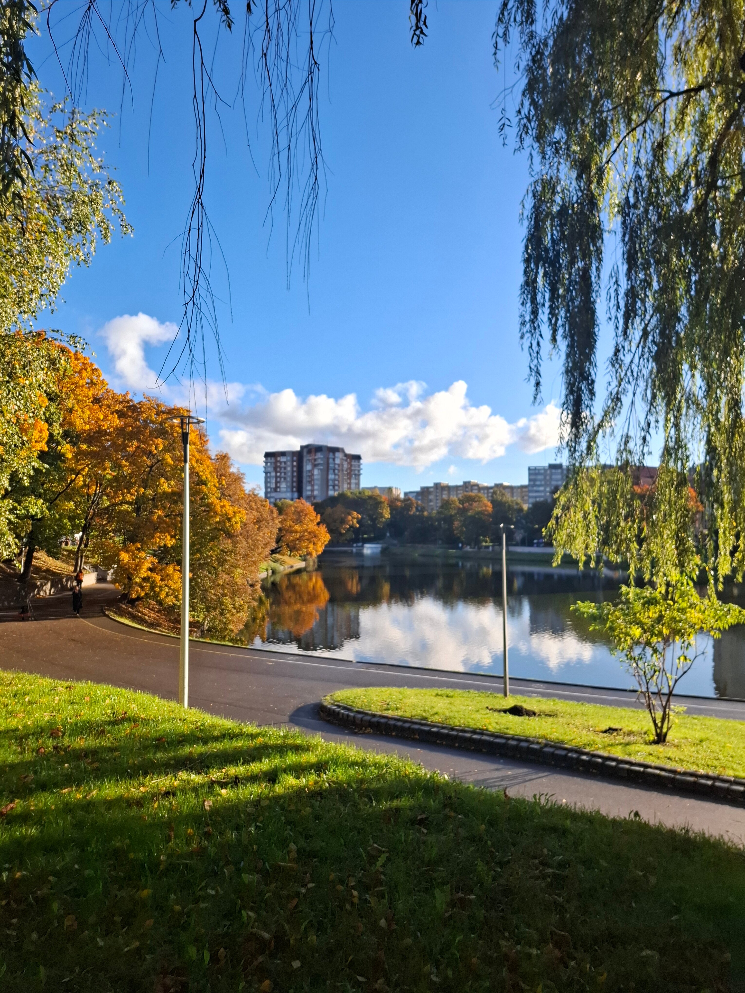 Фото Pavlov на улице Сергеева