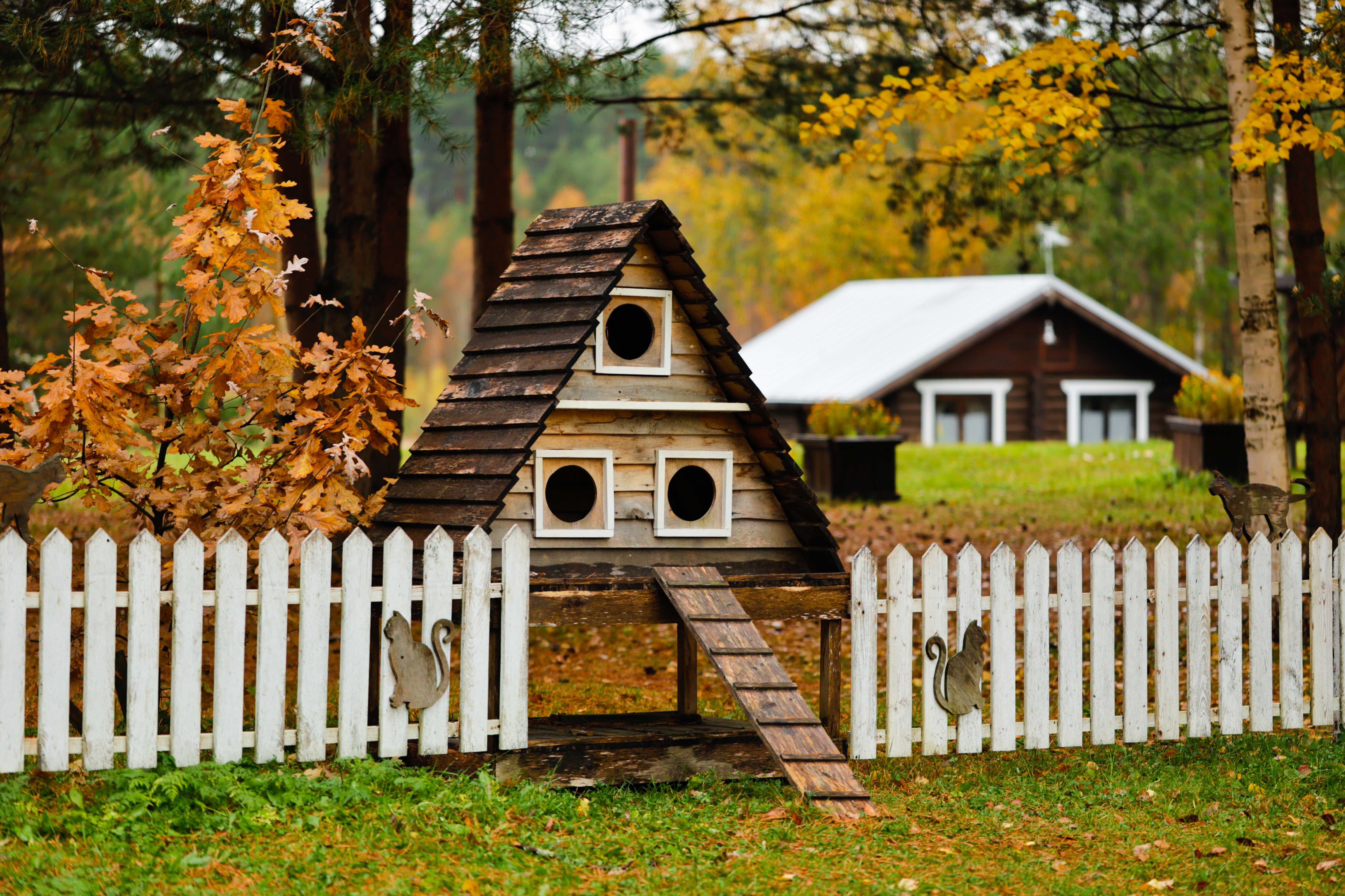 Фото Исаково