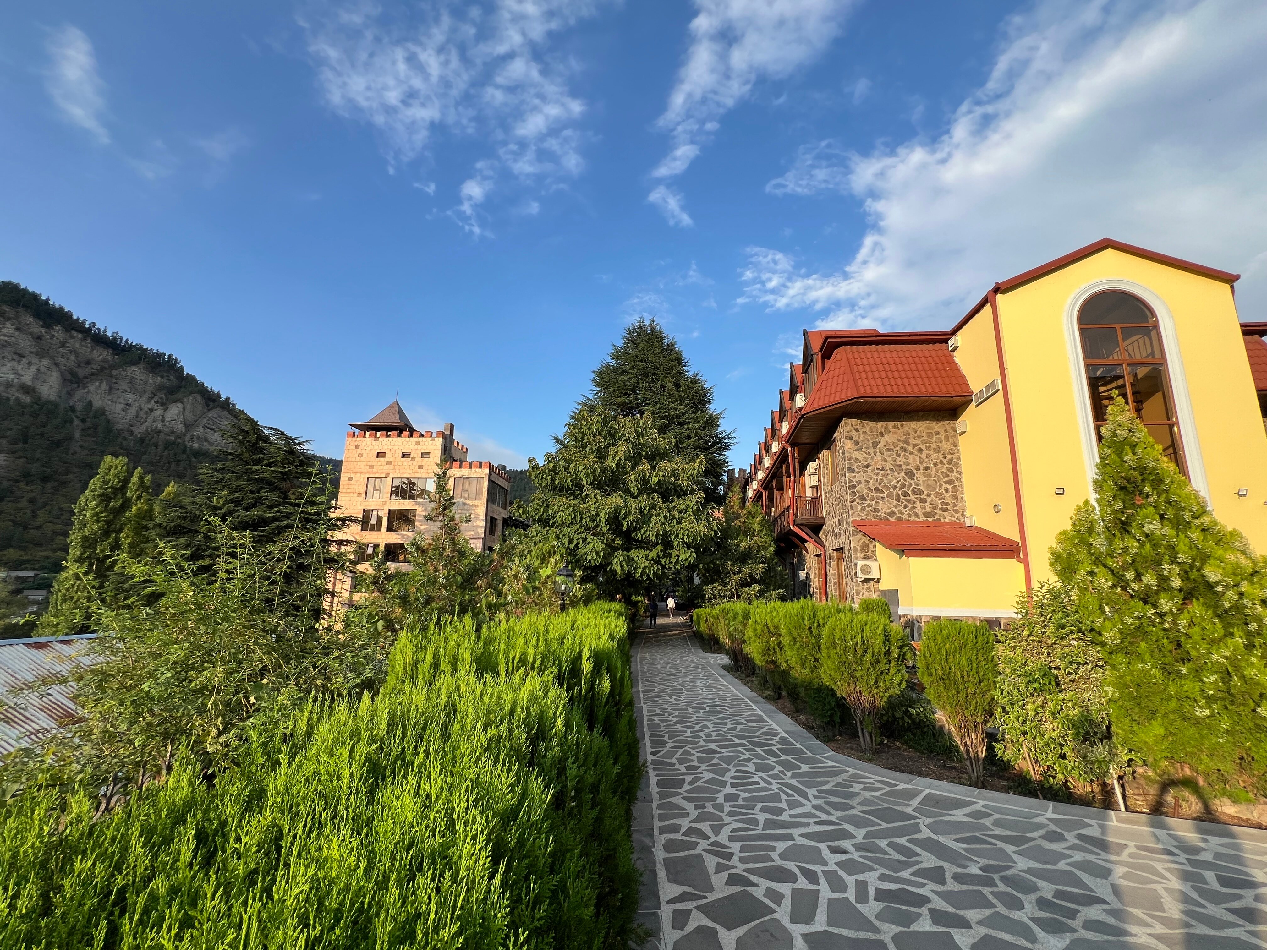Фото Borjomi Palace