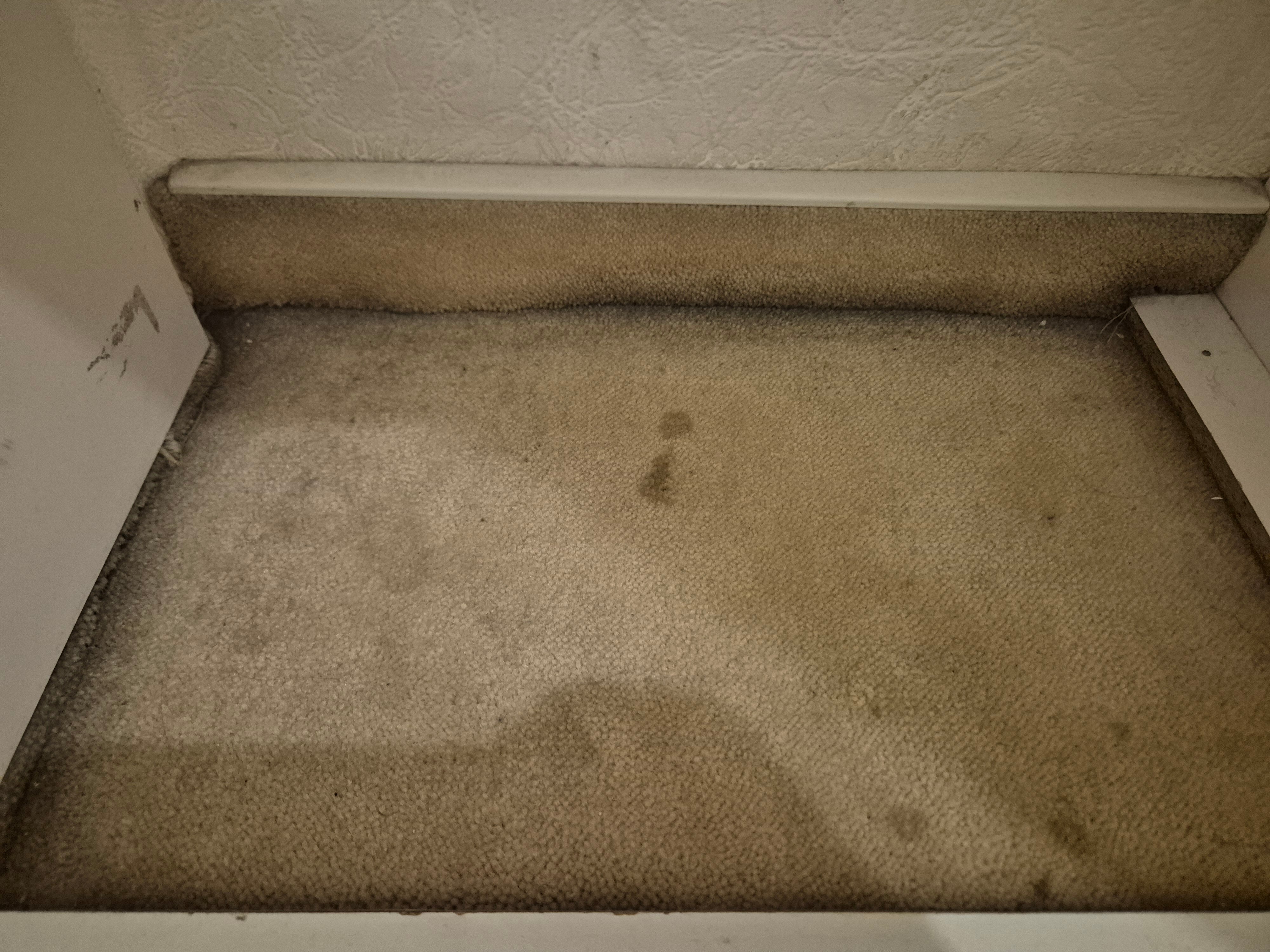 Фото Ист Вест