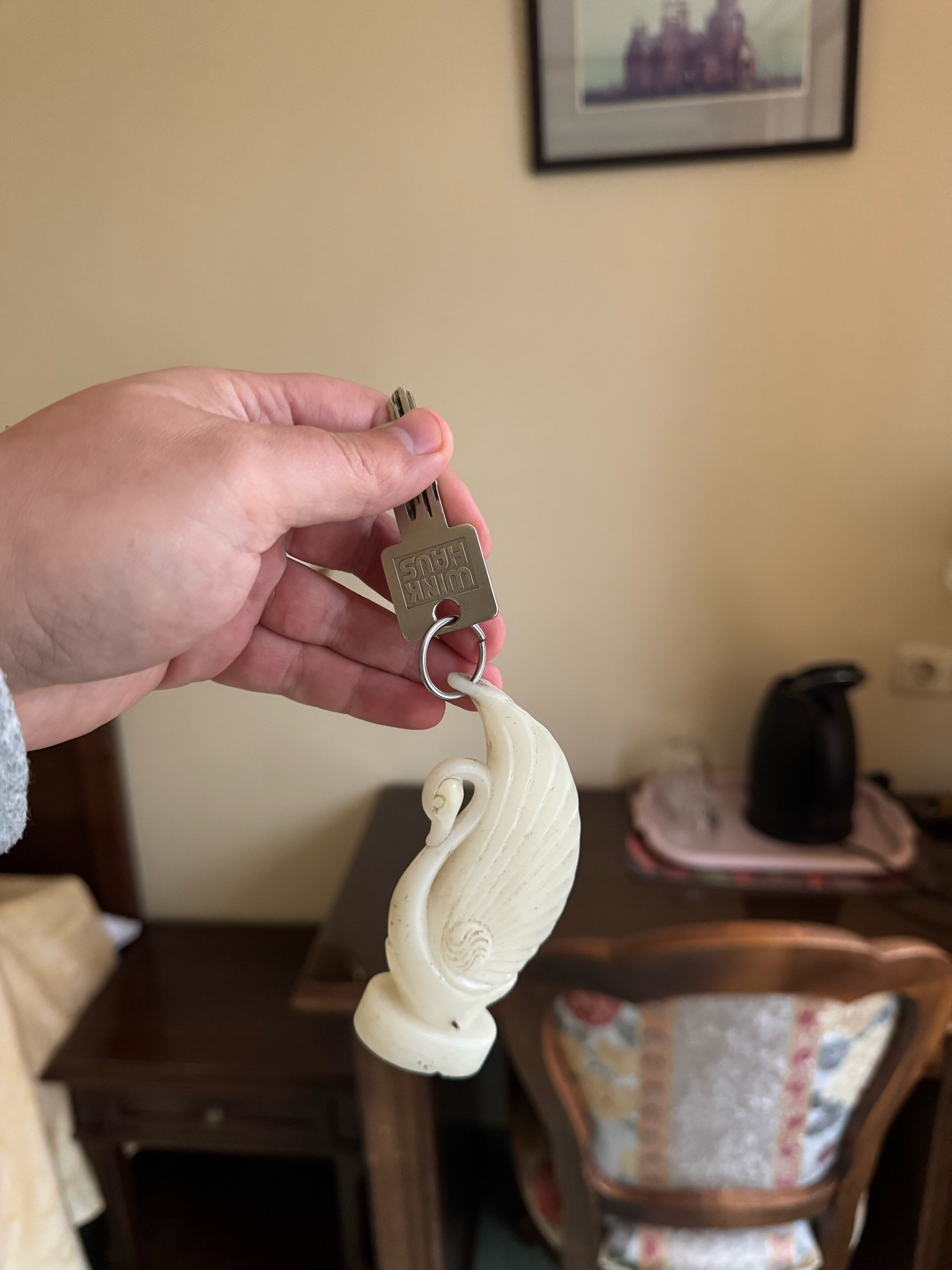 Фото Лебедь