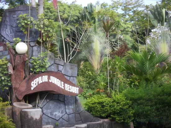 Фото Sepilok Jungle Resort