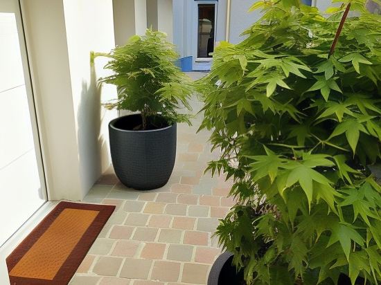 Фото Hotel Excelsior Batignolles