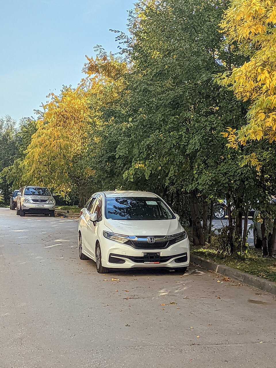 photo Токидоки