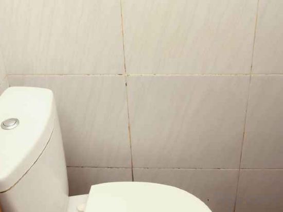 Фото 151553818119