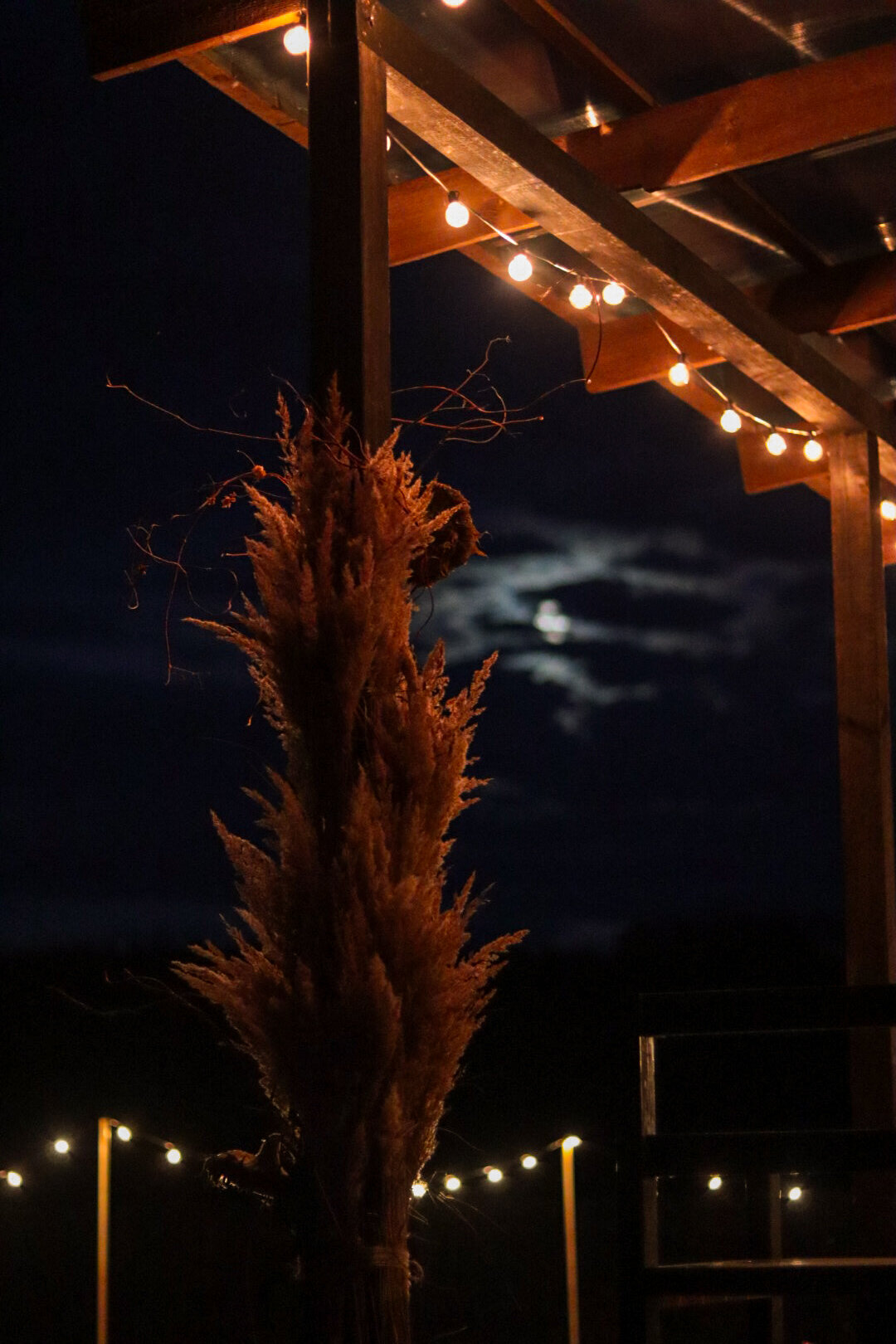 Фото Дом в Поле