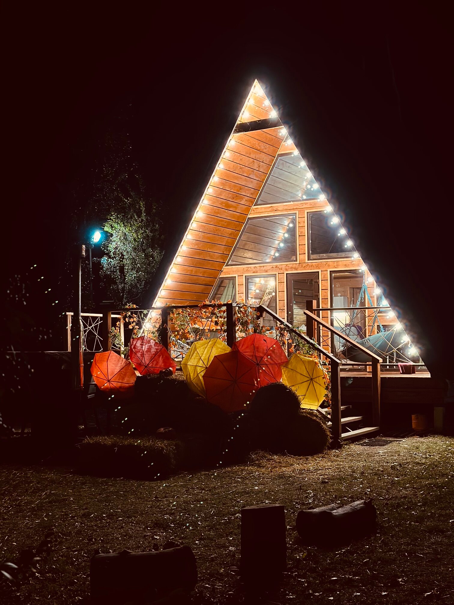 Фото Карасёвка