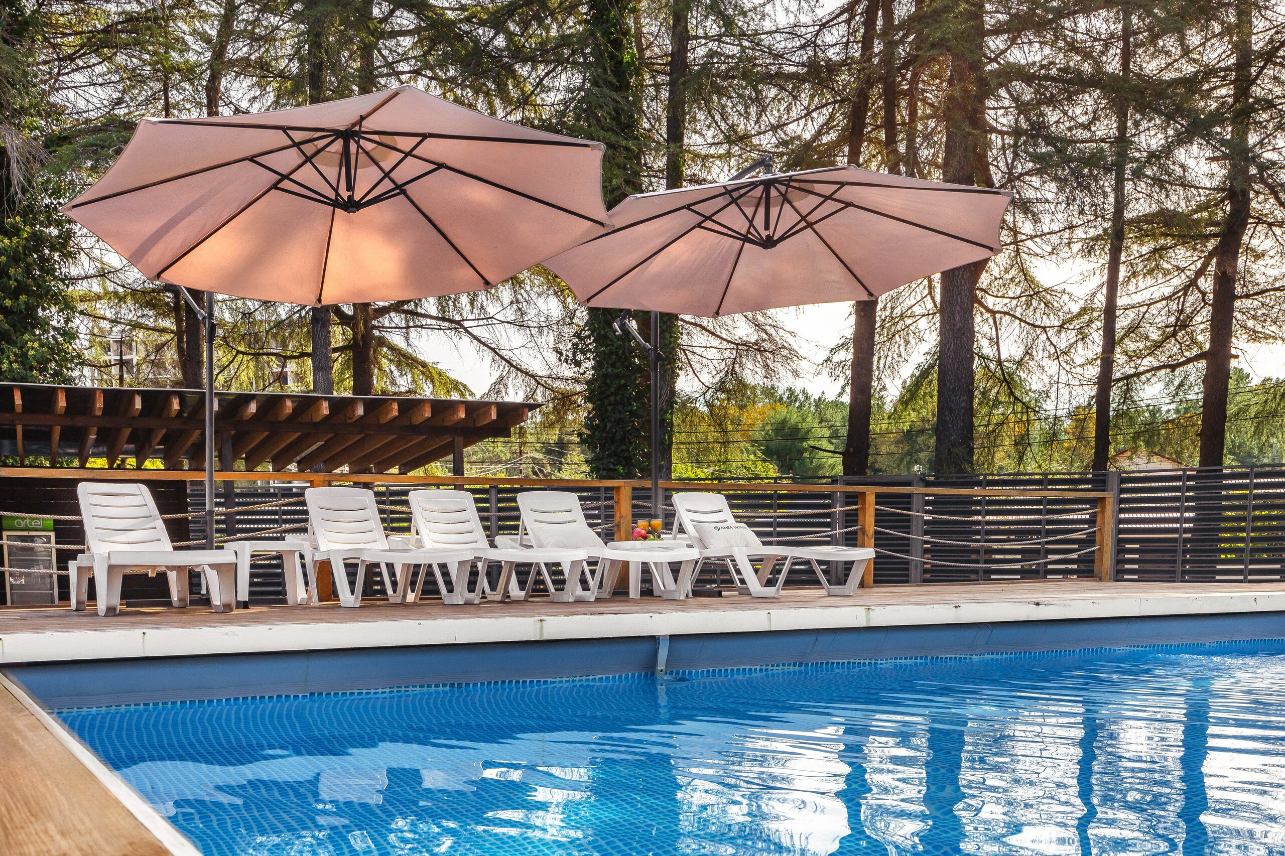 Фото Eco House Pitiunt