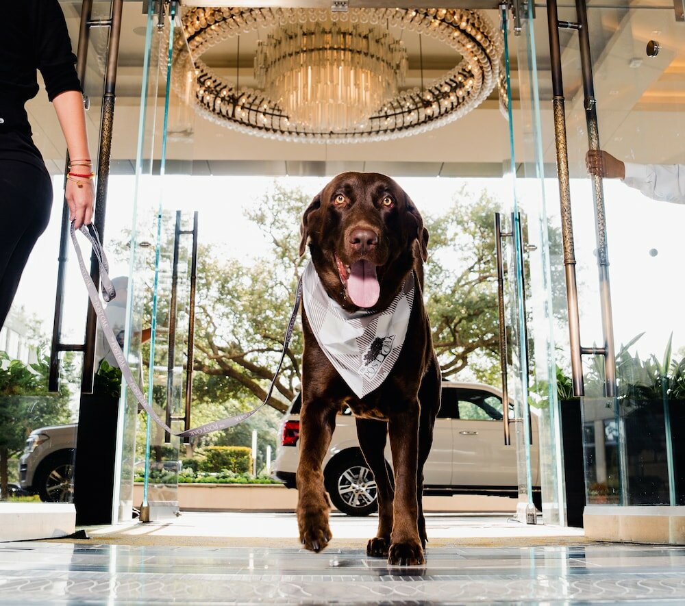 Фото The Post Oak Hotel at Uptown Houston