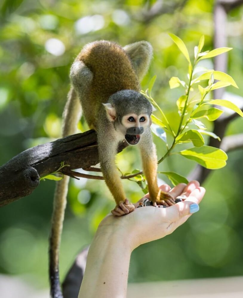 Фото Days Inn by Wyndham Florida City