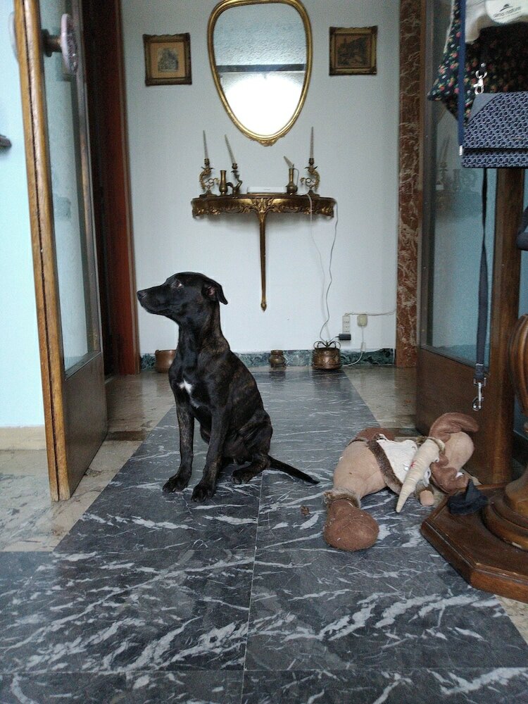 Фото B&b Mavipagi