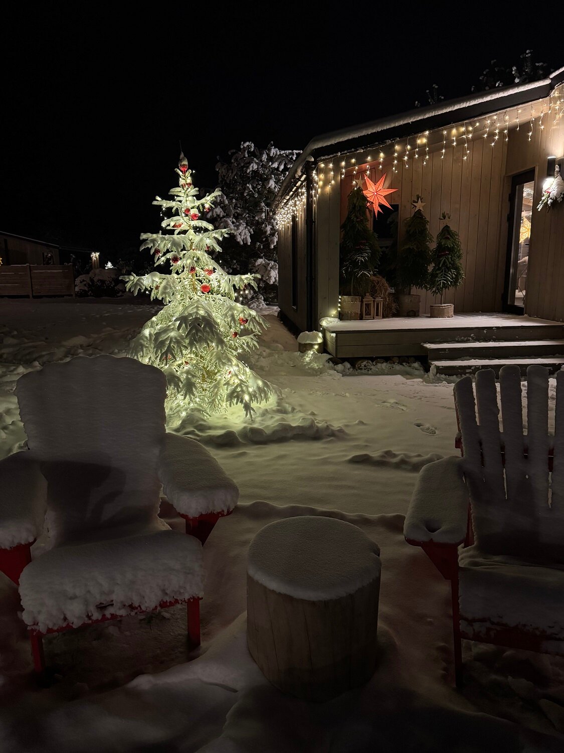 Фото Дача в соснах