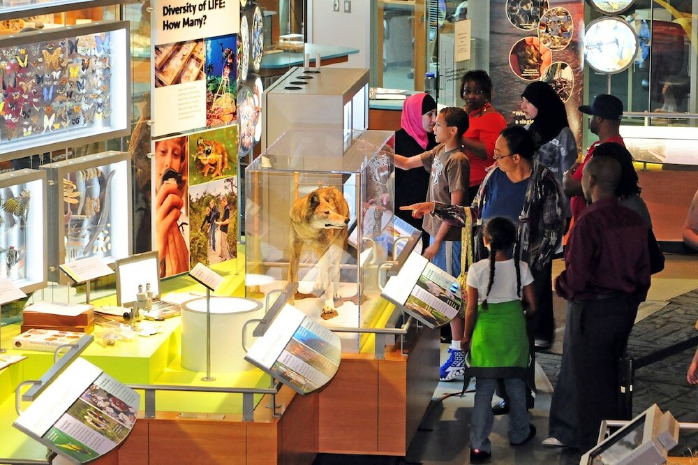 Фото Raleigh Marriott City Center