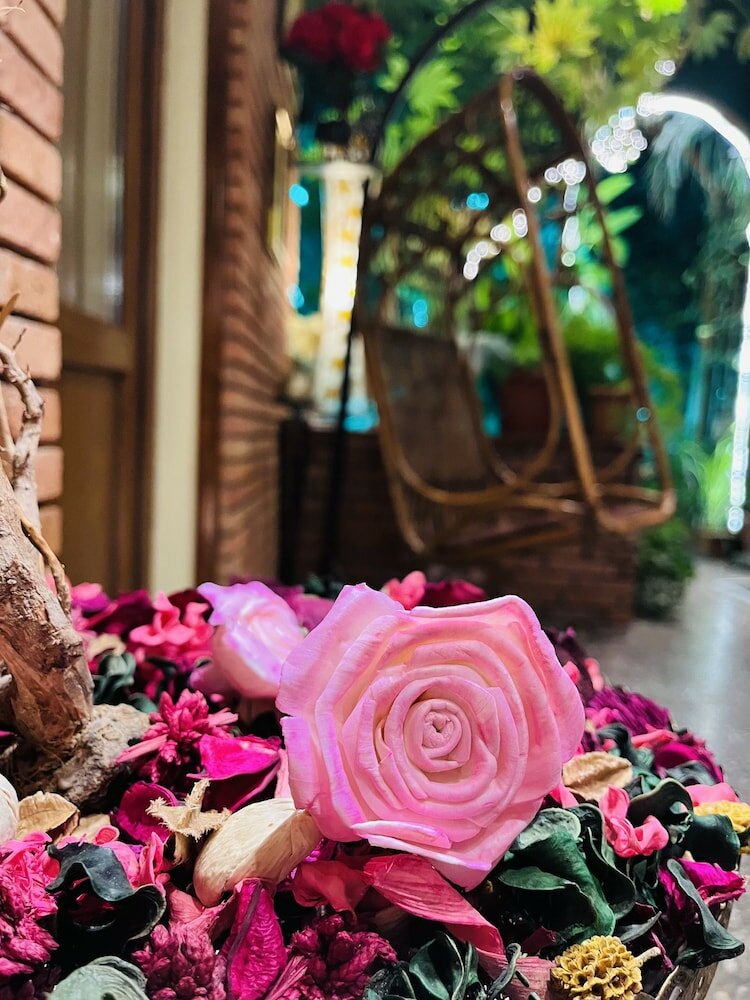 Фото British House