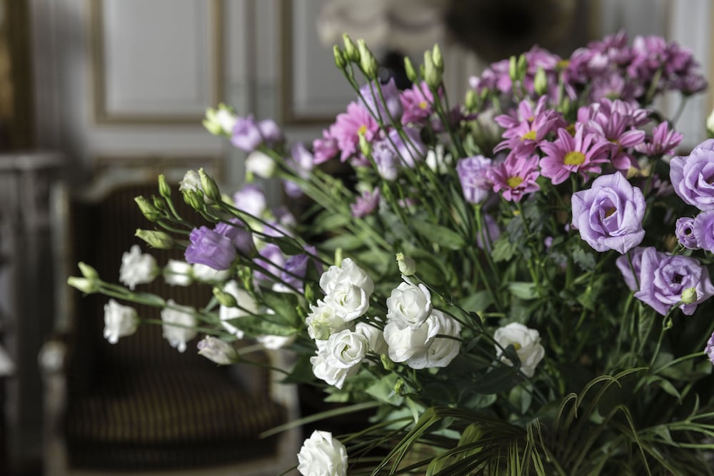 Фото Hotel L' Ecrin