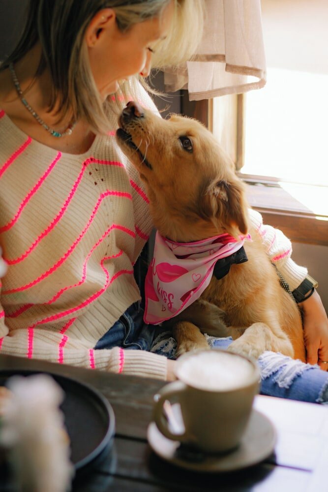 Фото Los Altos Hotel