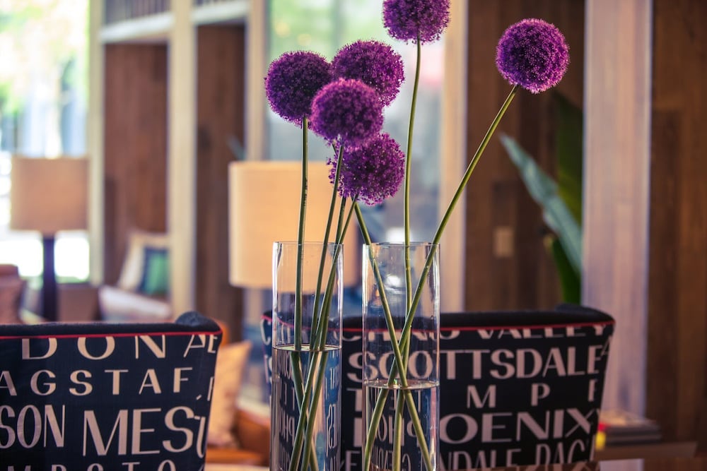 Фото Kimpton Hotel Palomar Phoenix Cityscape, an Ihg Hotel