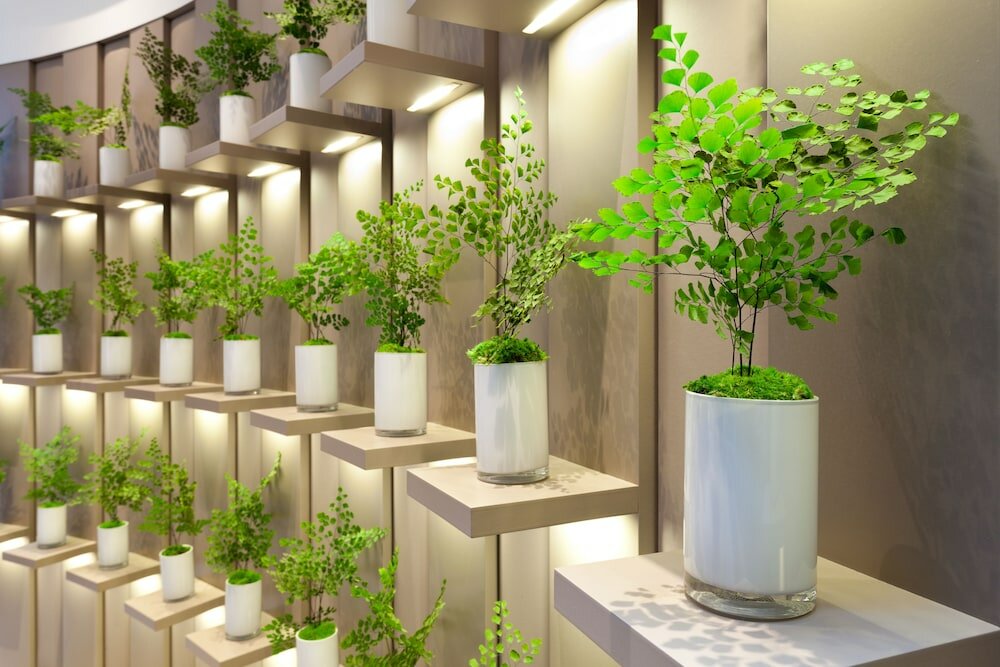 Фото Hotel Condes de Barcelona