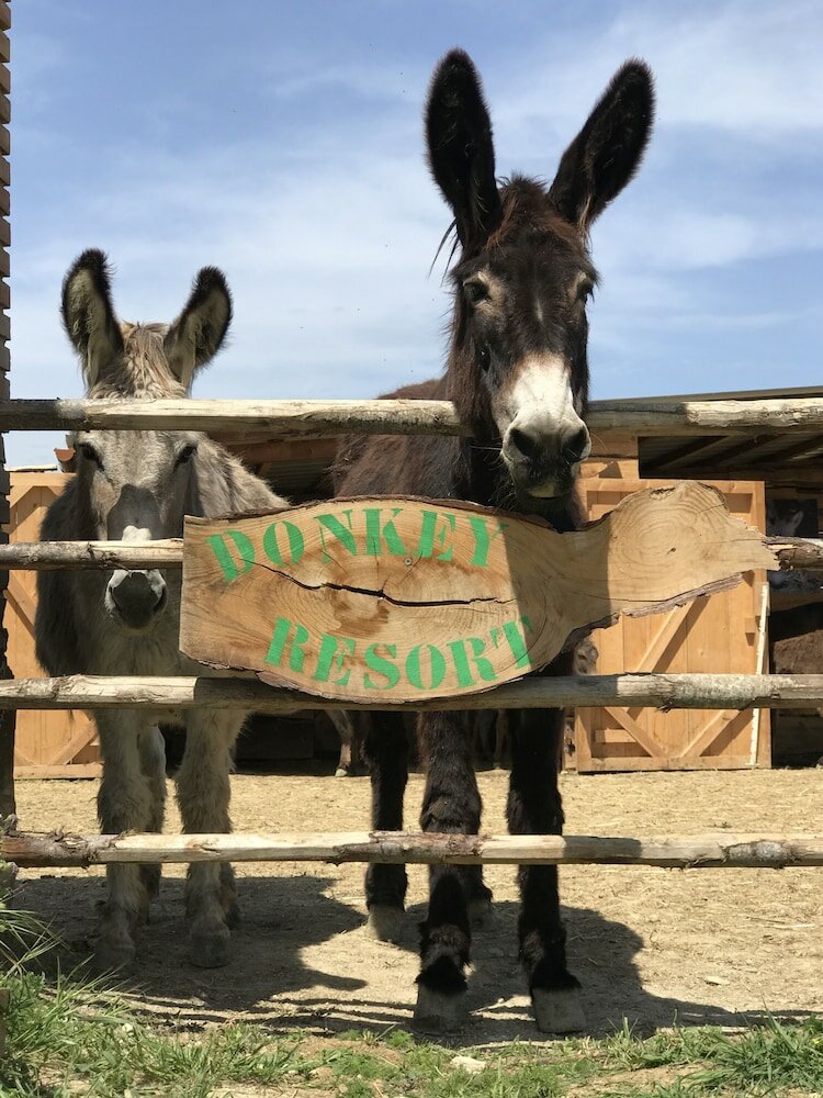 Фото La Locanda Paradiso