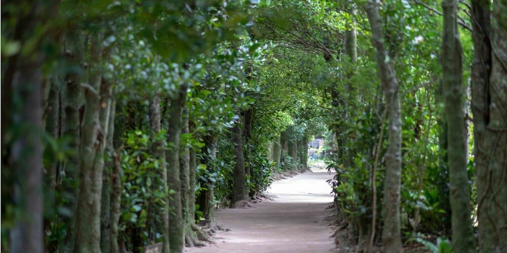 Фото Sunrise Hotel