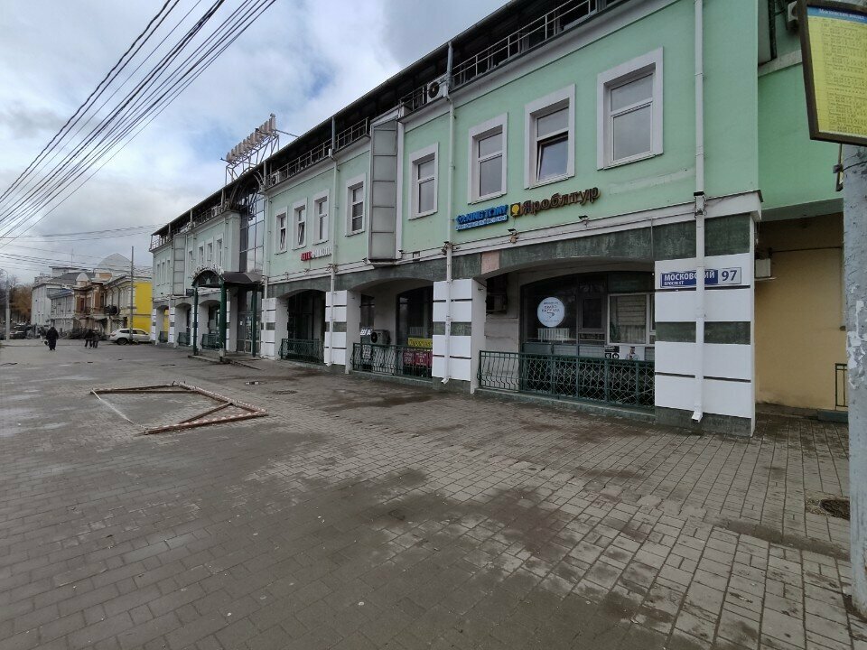 Tailor Lara Lion, Yaroslavl, photo