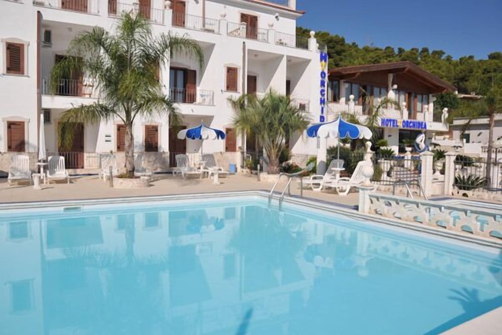 Фото Hotel Orchidea