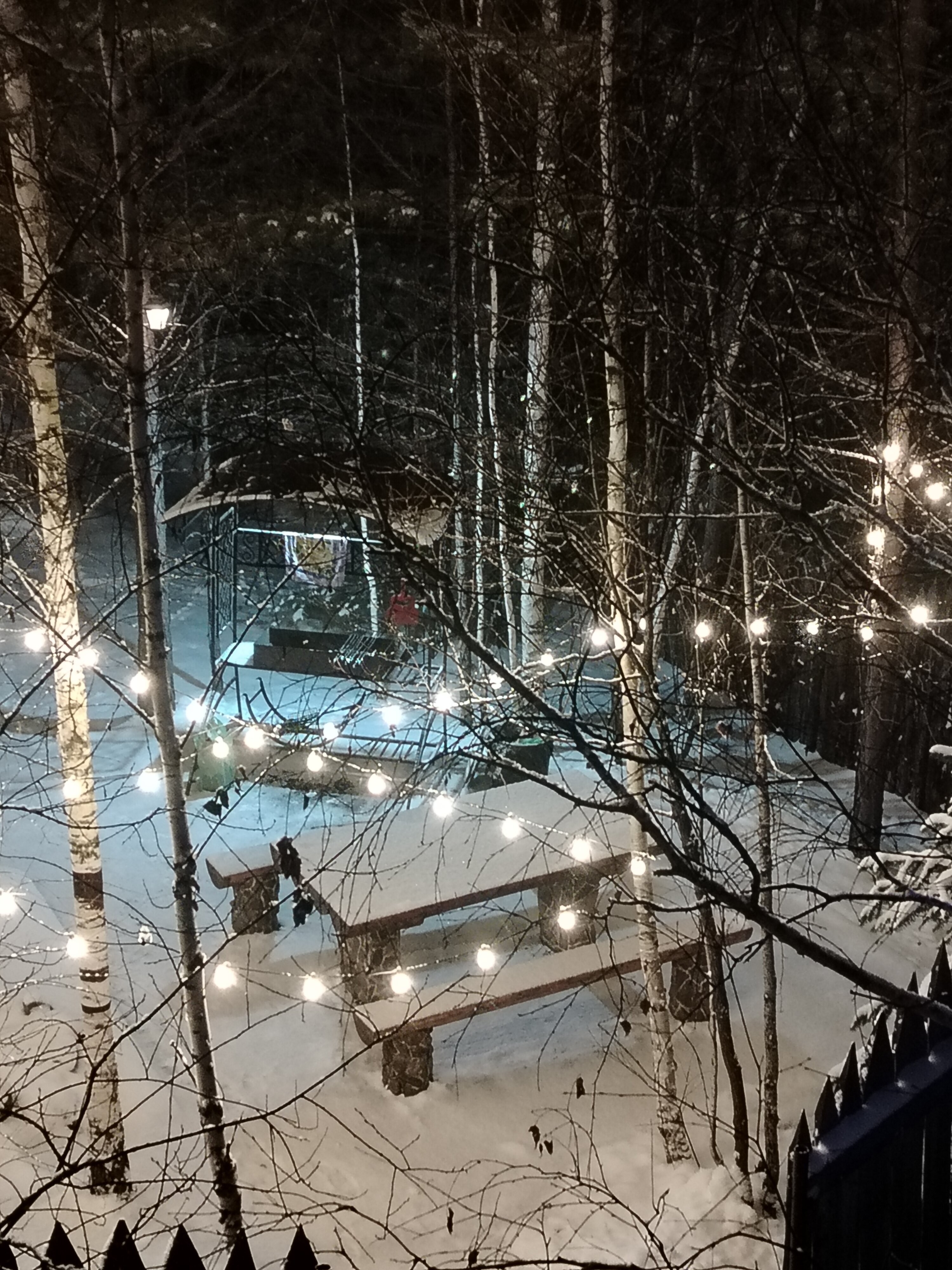 Фото Дыхание Природы