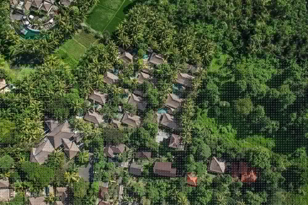 Фото Ubud Village Resort and SPA