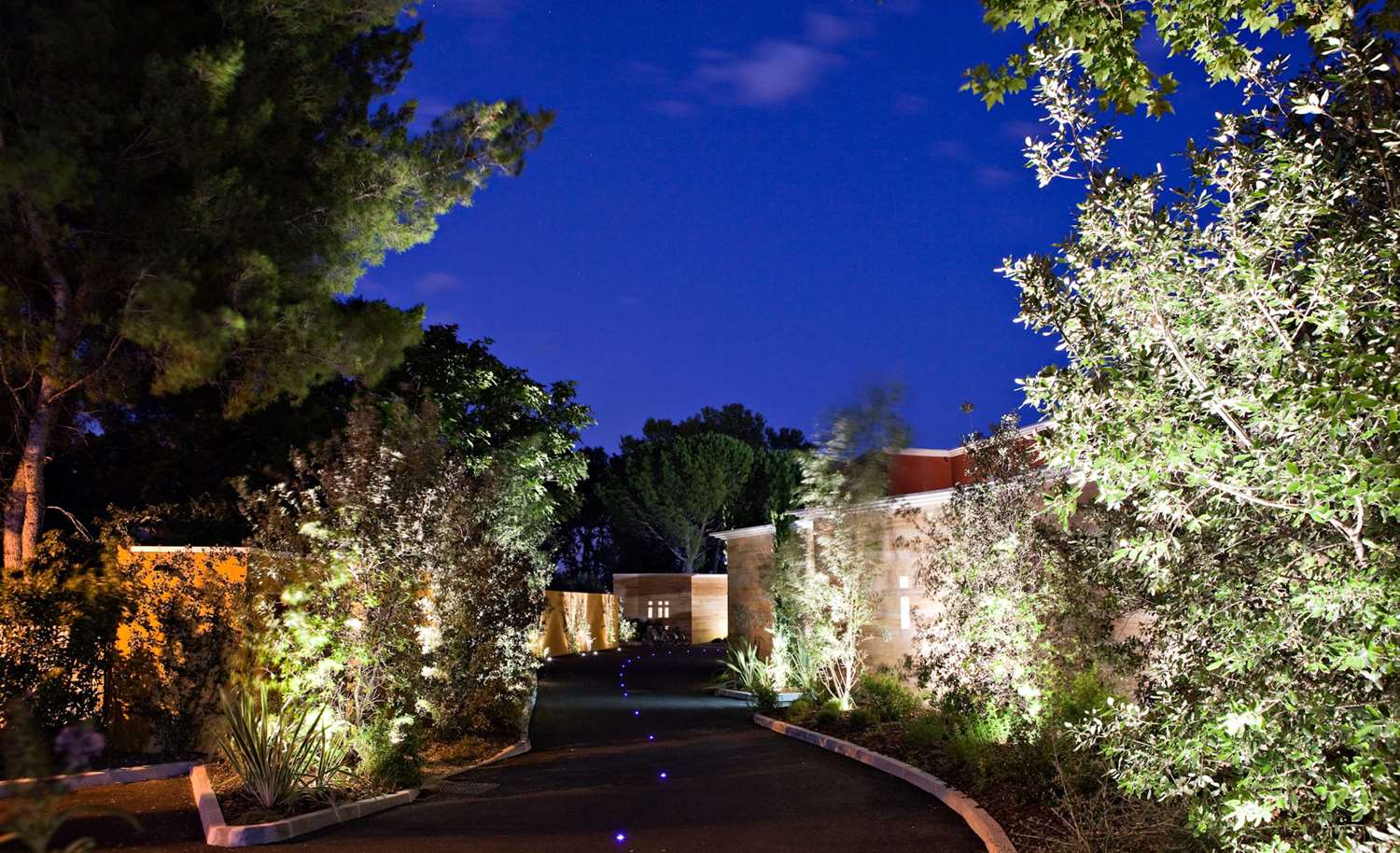 Фото 209358657567