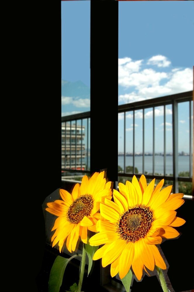 Фото Hotel Queen Olga