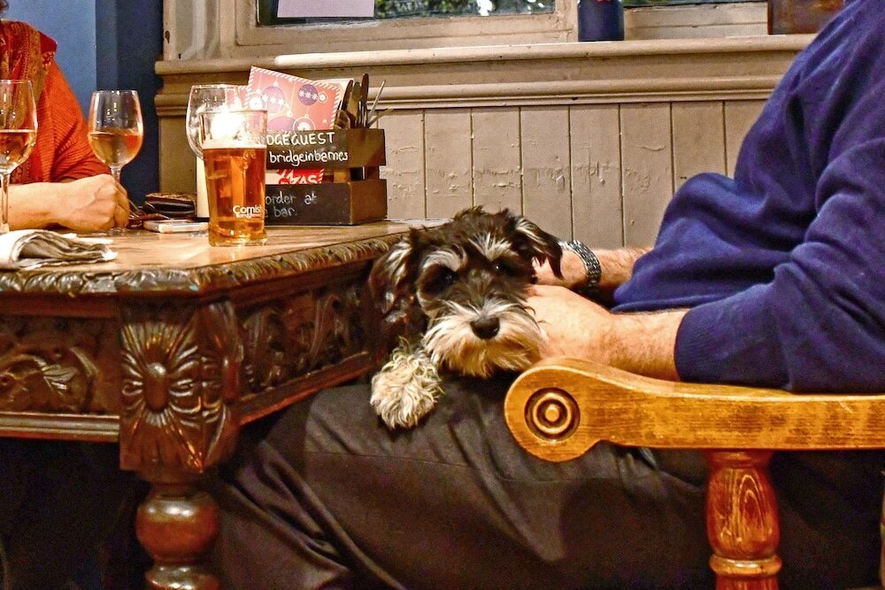 Фото The Bridge in Barnes