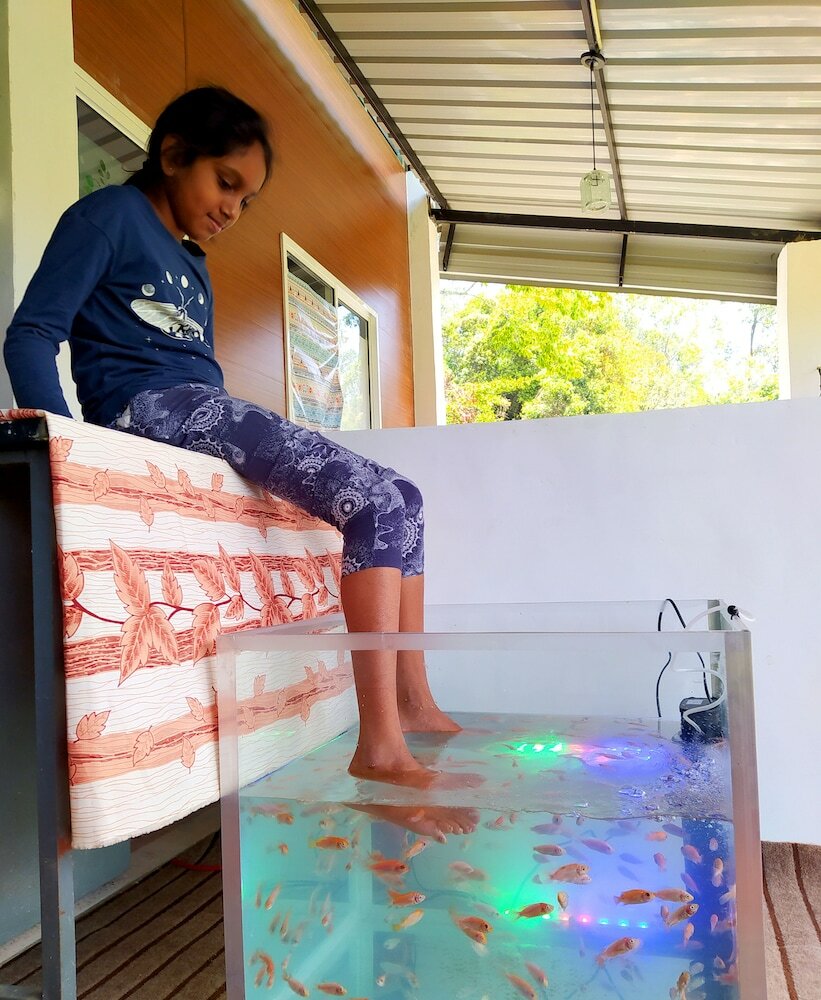 Фото Silver Dome