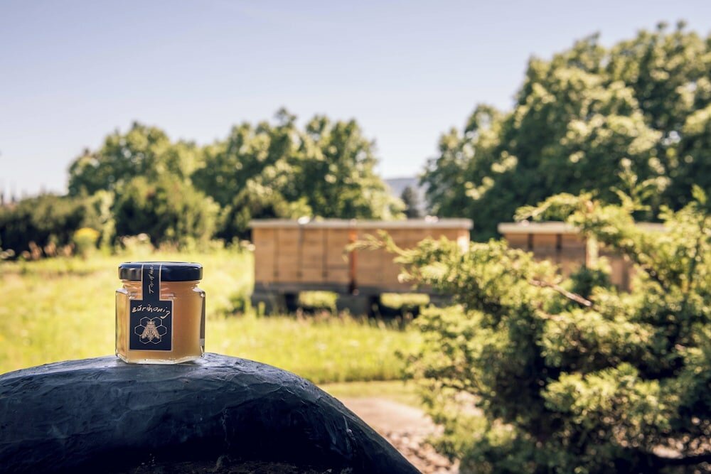 Фото Zurich Marriott Hotel