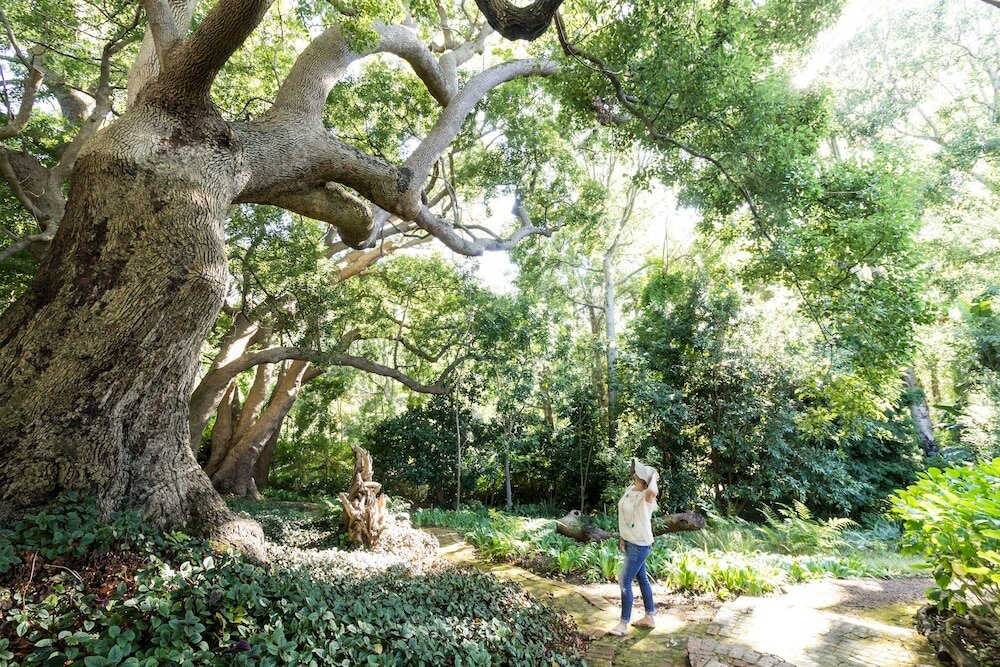 Фото The Cellars Hohenort