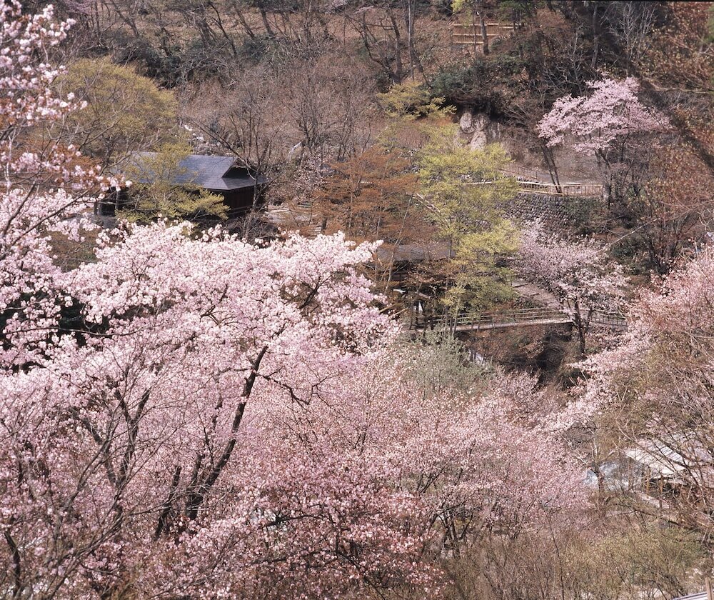 Фото Takaragawa Onsen Osenkaku