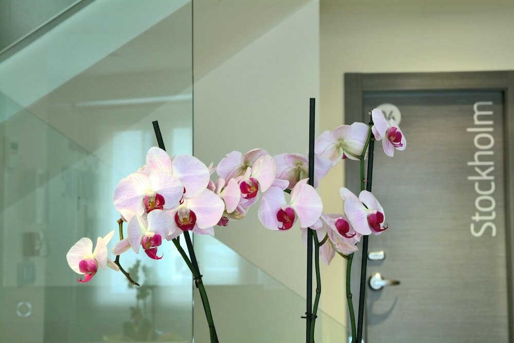 Фото Le Petit Boutique Hotel - Adults Only