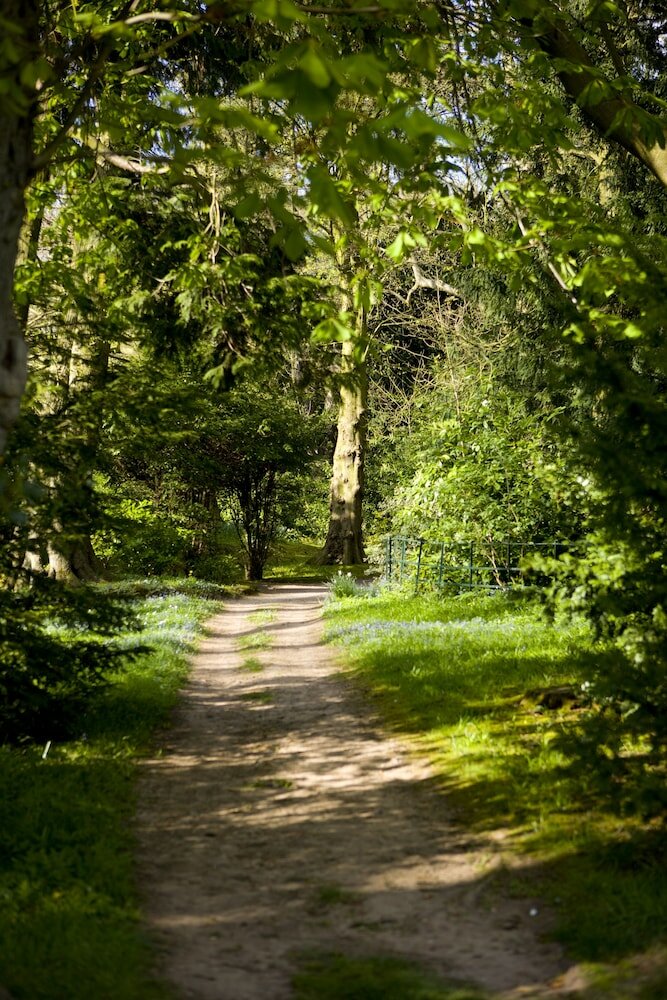 Фото New Hall Hotel & SPA