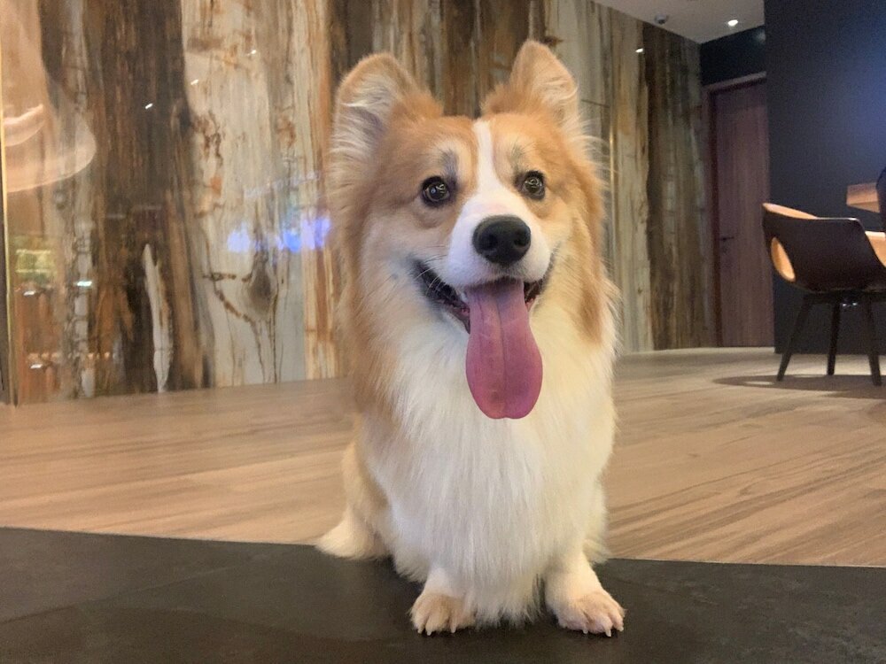 Фото Oasis Avenue – A Gdh Hotel