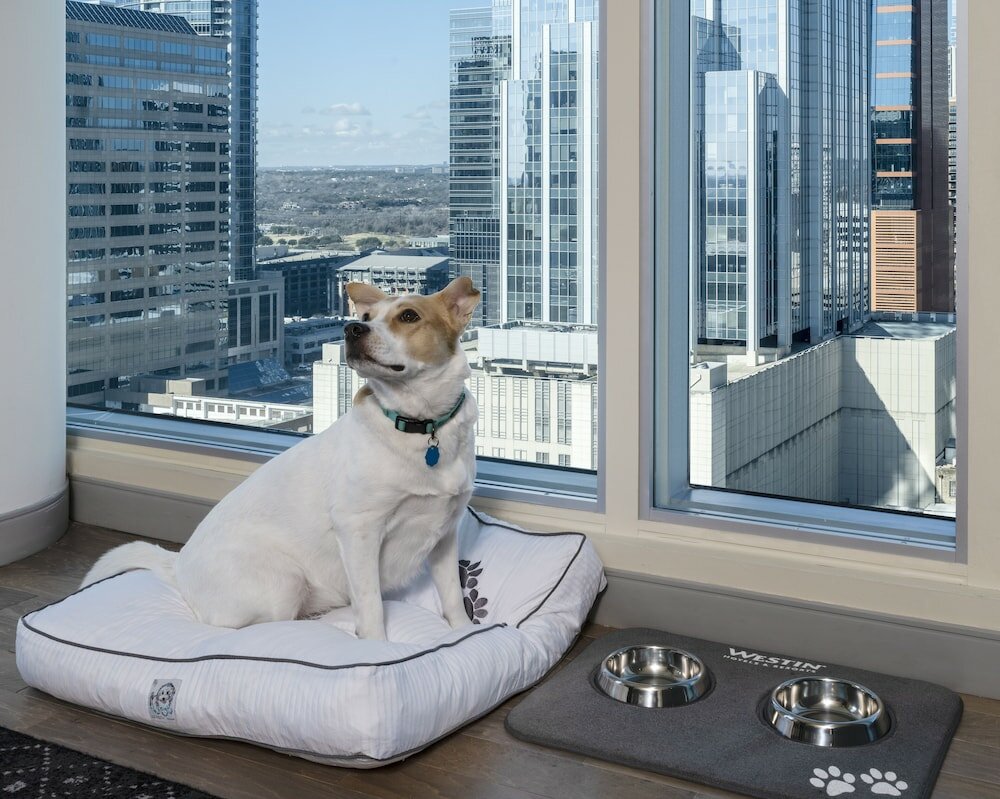 Фото The Westin Austin Downtown
