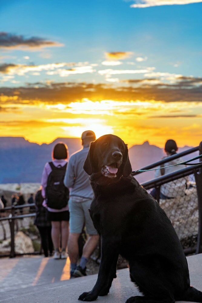 Фото Yavapai Lodge