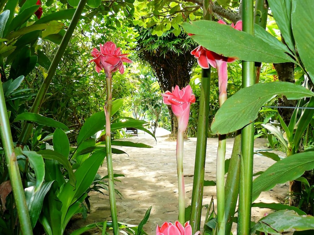 Фото Mealea Resort