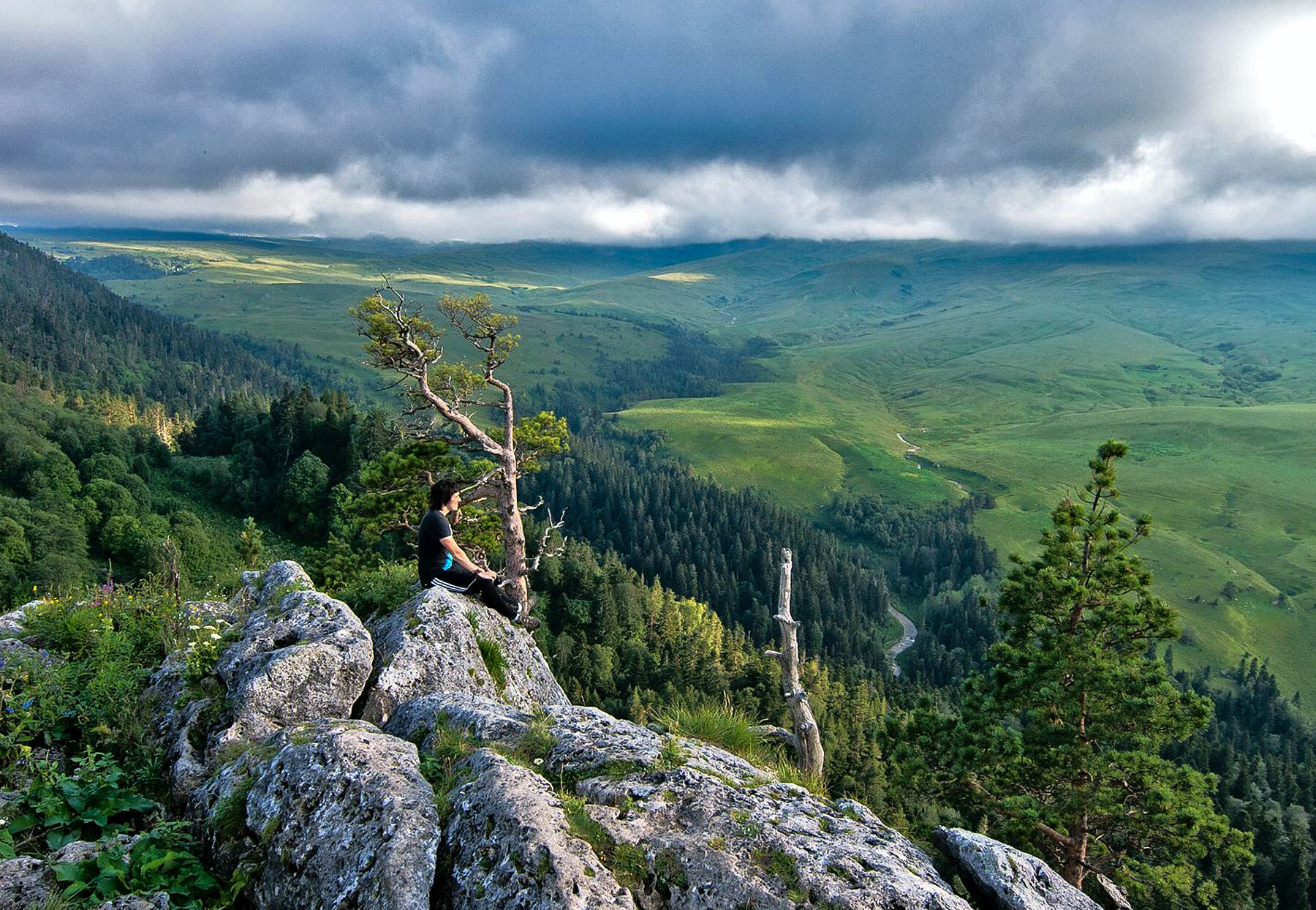 Фото Солнечная