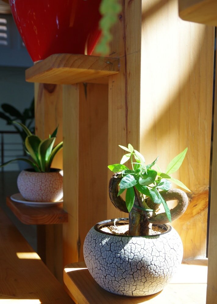 Фото Ngoc Chau Hotel