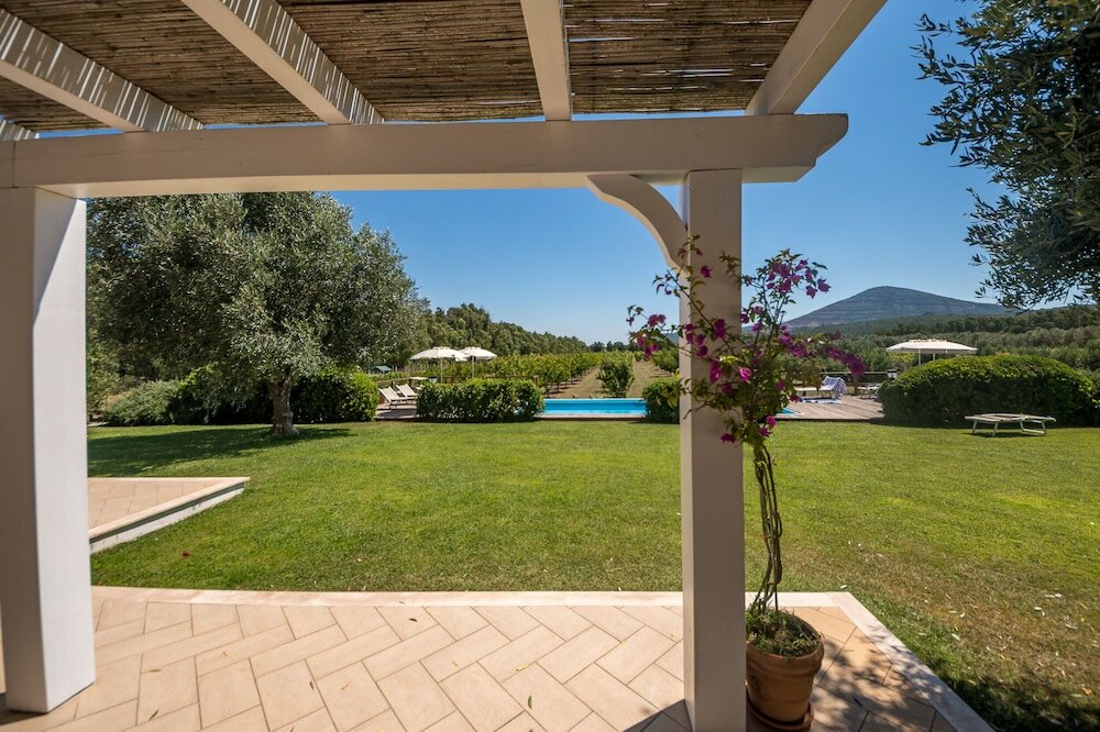 Фото Agriturismo Casale degli Ulivi