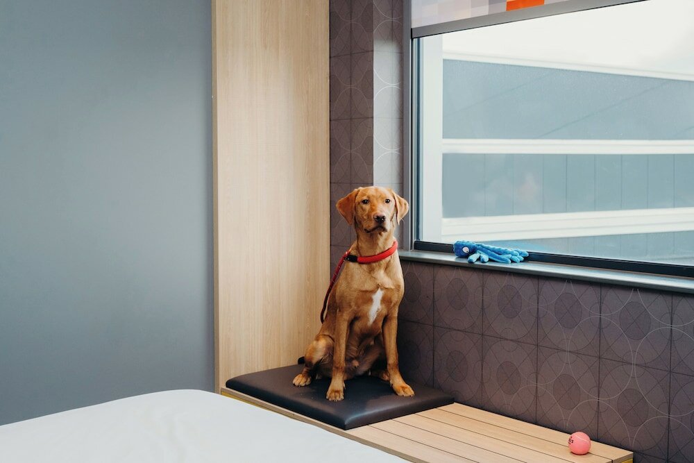 Фото Aloft Aberdeen Teca