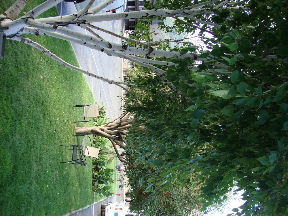 Фото Silver Spruce Inn