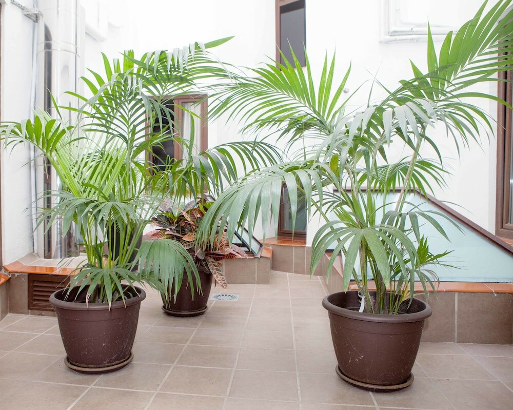 Фото Hotel Castilla Guerrero